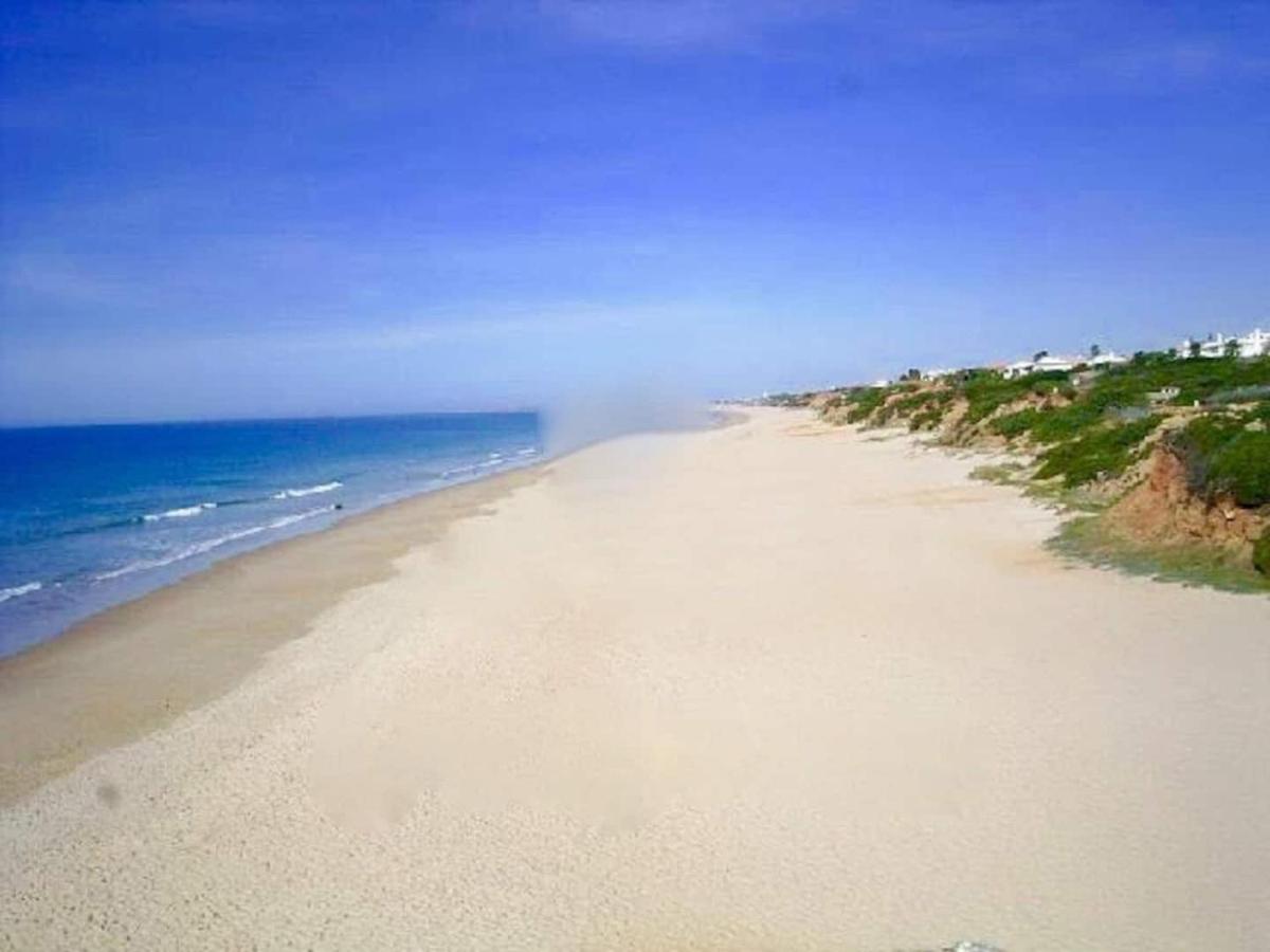 Finca La Tacita - Rosal Conil De La Frontera Bagian luar foto