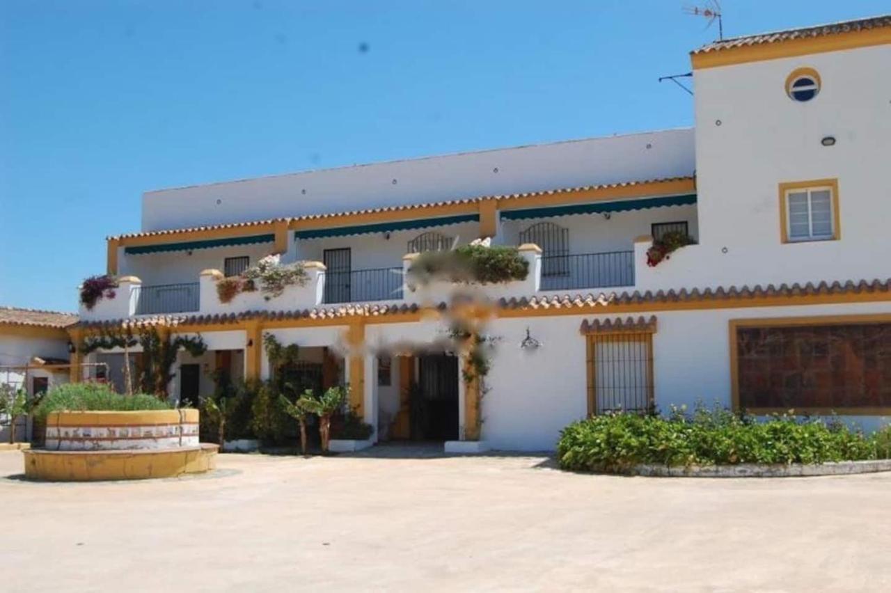 Finca La Tacita - Rosal Conil De La Frontera Bagian luar foto